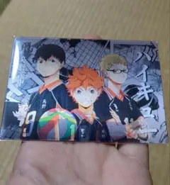 海外版 ハイキュー 3D ランダムカード 烏野チーム