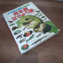 小学館の図鑑NEO 生き物のはちゅう類