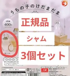 【正規品】うちの子のけだまだま ガチャ 猫 シャム 3個セット