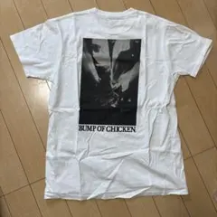 bumpofchicken auroraark Tシャツ　フリーサイズ