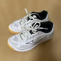 Item thumbnail for item c82c7b4d-3b2e-4d62-9567-fe3a37f6bcbe