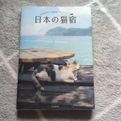 日本の猫宿 小林希
