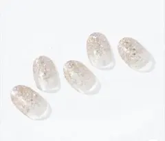 オホーラ　ジェルネイル　ND−039-G N SPARKLE GLAM 15枚