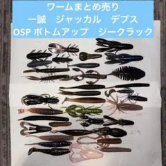 2025年最新】バス釣り引退の人気アイテム - メルカリ