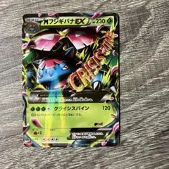 MフシギバナEX RR XY1 コレクションX 002/060