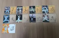 2005年 日本シリーズ 阪神タイガース 下柳剛選手 サインボール