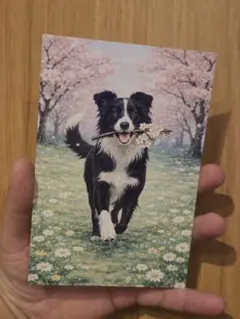 Item thumbnail for item 5bde2565-ad84-4885-89e8-fbc1c9e86cc3