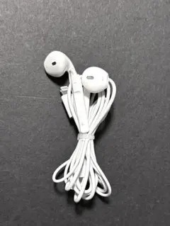 アップル純正 iPhone イヤホン ライトニング 有線 新品未使用