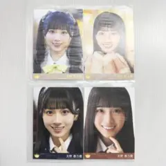天野香乃愛 電話番号教えて！ 封入 A B C コンプ ニアジョイ 生写真
