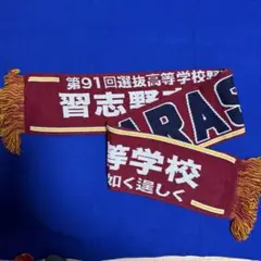 阿南光 吉岡暖甲子園タオル 2024 - メルカリ