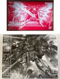 ガンプラまとめ売り　HGデスティニーspecⅡ&MGプロヴィデンスガンダム 003_l.jpg