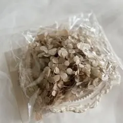 피라미드 수국 프리저브드 플라워 베이지 플라워 소재 신품 미사용 15g
