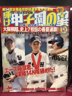 完全保存版】埼玉西武ライオンズ40周年黄金の記憶 ベースボール