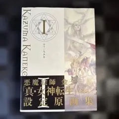 金子一馬画集 2 Ⅱ匿名配送 文言録/帯/ポスター/ハガキ ペルソナ 