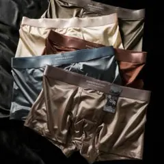 サテンボクサーパンツ 5枚セット 光沢感あり L