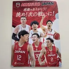 2025年最新】バレーボール日本代表クリアファイルの人気アイテム