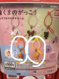 くまのがっこう カラフルマルチチャーム 2個セット