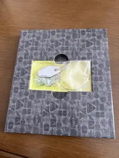 ポケモンZA サントラ特典 アクリルチャーム付きワイヤーキーリング　新品