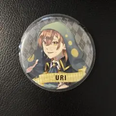 カラフルピーチ うりさん ワンダーランド 一番くじ 缶バッジ 18個 まとめ売り カラフルピーチ うりさん ワンダーランド 缶バッジ まとめ売り