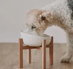 Item thumbnail for item 236c2951-c7d5-4687-b582-c05c53e986c7