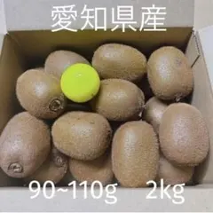 キウイフルーツ【愛知県産 】