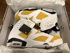 Nike Air Jordan 6 Retro Yellow Ochre 30