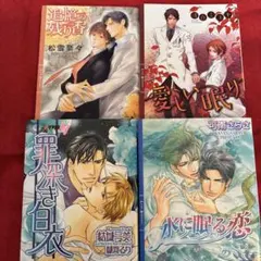 BL小説 お医者様セット「罪深き白衣」他