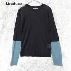 リノルーセ　しまむら　シースルーカットソー　L ブラック　長袖　大きめ　シアー
