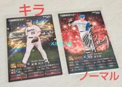 プロ野球スピリッツ チップス カード セット