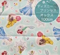 ディズニープリンセス 生地 オックス はぎれ ／水色 ペパーミントグリーン