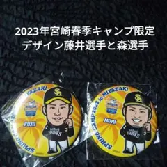 福岡ソフトバンクホークス 缶バッジ 2点セット - メルカリ