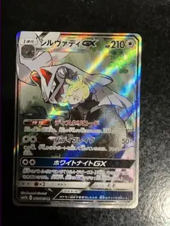 シルヴァディgx sa