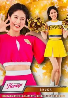 Item thumbnail for item e2cc06c3-5c52-4db9-963c-cbd1759580dc