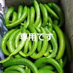 KaaaNa様専用です。