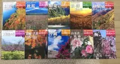 2026年最新】週刊四季花めぐりの人気アイテム - メルカリ