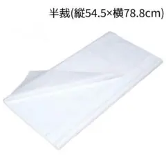 Item thumbnail for item ca703b30-64bc-4537-8000-43115f26c2e6