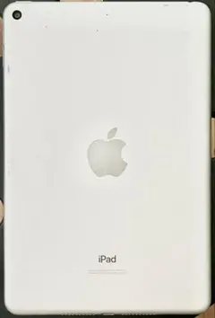 Apple iPad mini 第5世代 本体 256GB スペースグレー - メルカリ