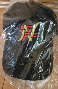 ベイマックス Happyくじ C賞 キャップ　その他下位賞