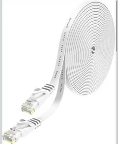 Lovicool ロビクール LANケーブルCAT6 10m ホワイト フラット