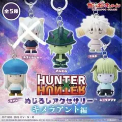 HUNTER×HUNTER めじるしアクセサリー　セミコンプ