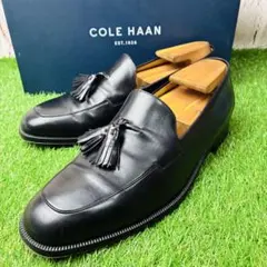 【極美品】コールハーン タッセルローファー 本革 イタリア製 10(28)