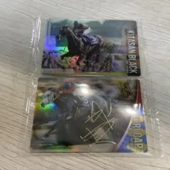サラブレッドホースコレクション キタサンブラック オグリキャップ サイン入り