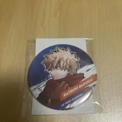 ヒロアカ 爆豪勝己 TOHO 冬十傑 缶バッジ 2025年最新】冬十傑の人気アイテム - メルカリ