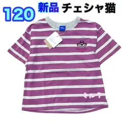 120⭐️新品⭐️チェシャ猫　不思議の国のアリス　半袖　tシャツ　パープル　紫