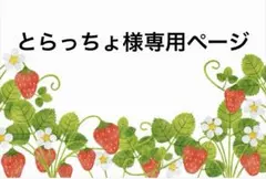 とらっちょ様専用ページ