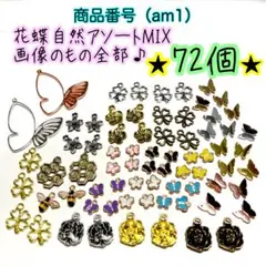 （am1）花蝶虫葉植物自然チャームパーツMIX詰め合わせ画像全部★春初夏シーズン