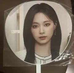 Ready to be TWICE ツウィうちわ