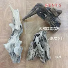 天然自然流木　３点セット　インテリア　オブジェ　置物