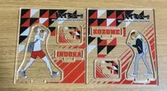 ハイキュー アクリルフィギュアコレクション第二弾　孤爪　犬岡
