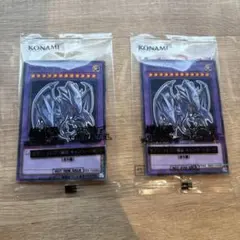 ブルーアイズアルティメットドラゴン　2枚セット